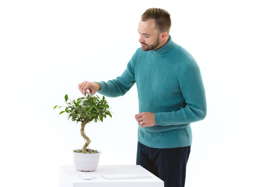 WP Engine representative calmly trimming a bonsai tree