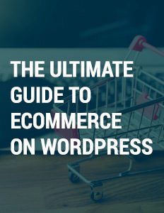The Ultimate Guide to Ecommerce on WordPress