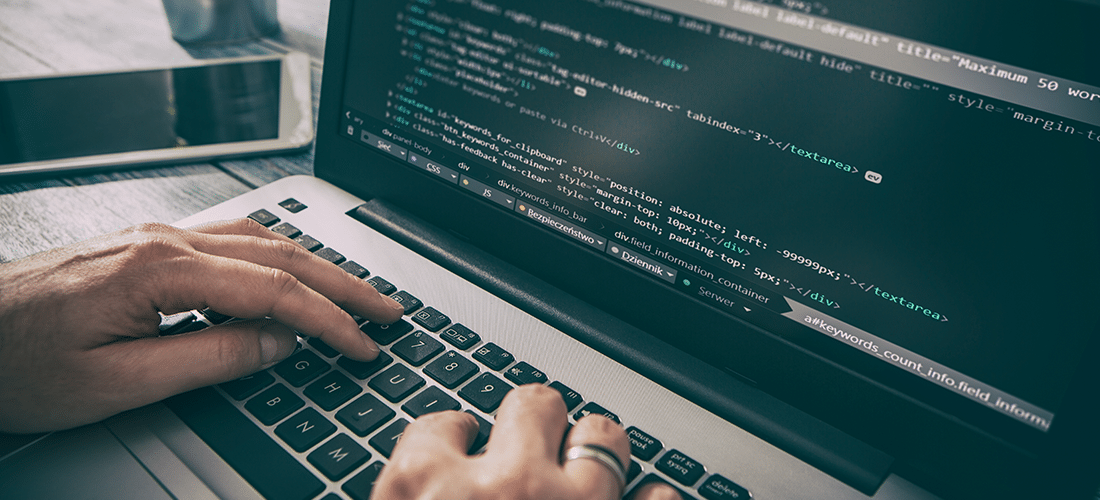 a person works on plugin customization in WordPress