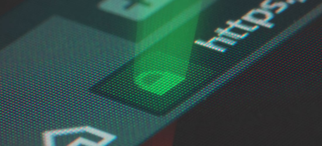 Verifying Secure Chrome Site Connection Icon