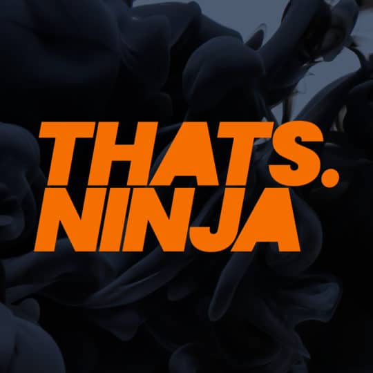 ThatsNinja Logo