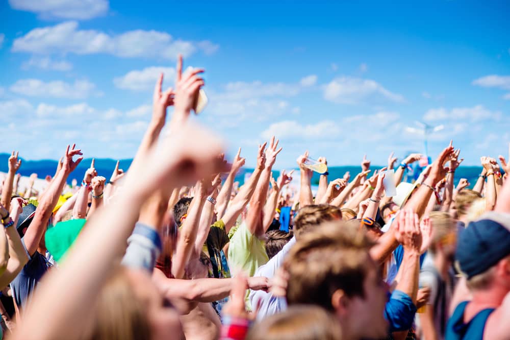 best music website themes for WordPress
